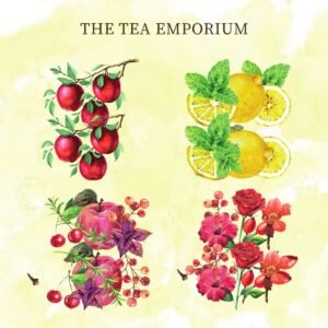 Istanbul to the Med Gift Set: watercolour illustrations of Turkish Apple, Mint & Lemon, Mediterranean and Roseate
